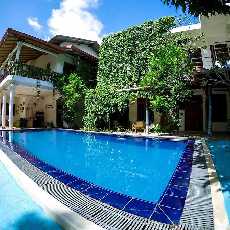 Mirissa Blue Whale Holiday Hotel 外观 照片