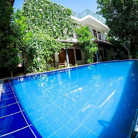 Mirissa Blue Whale Holiday Hotel 外观 照片