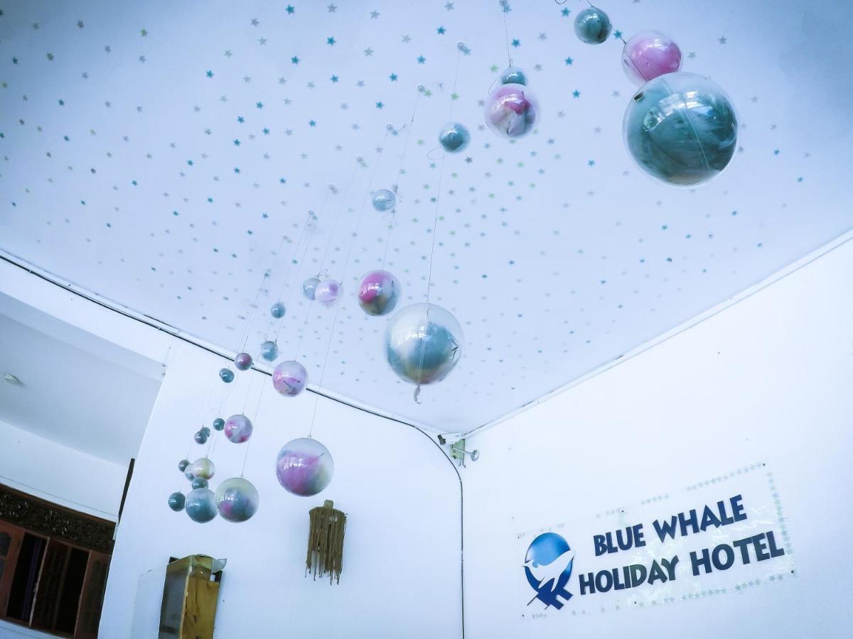 Mirissa Blue Whale Holiday Hotel 外观 照片